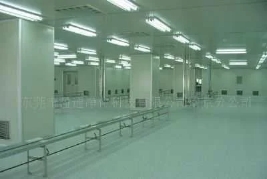 環(huán)氧防靜電自流平地坪 (1)